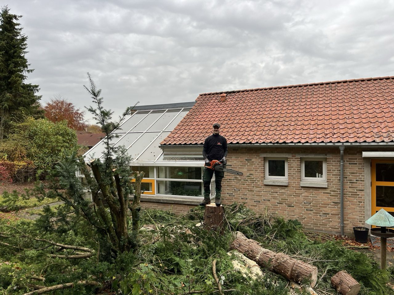 Fældning tæt på sommerhus